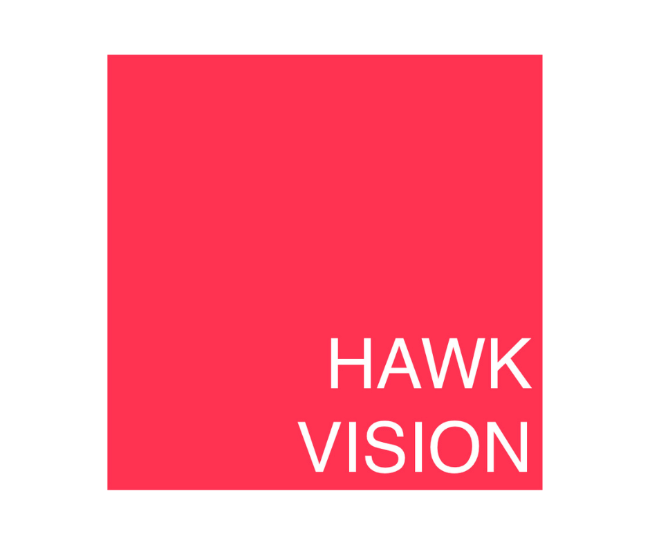 Hawk Vision Logo
